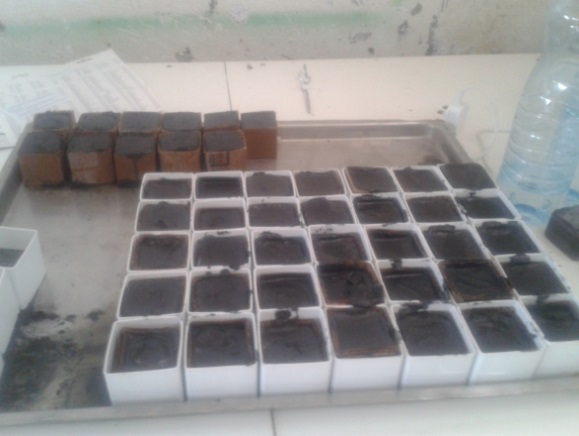 ECOCEMENT- A Novel Bio-Mimetic Technology For Enzyme-Based Microbial